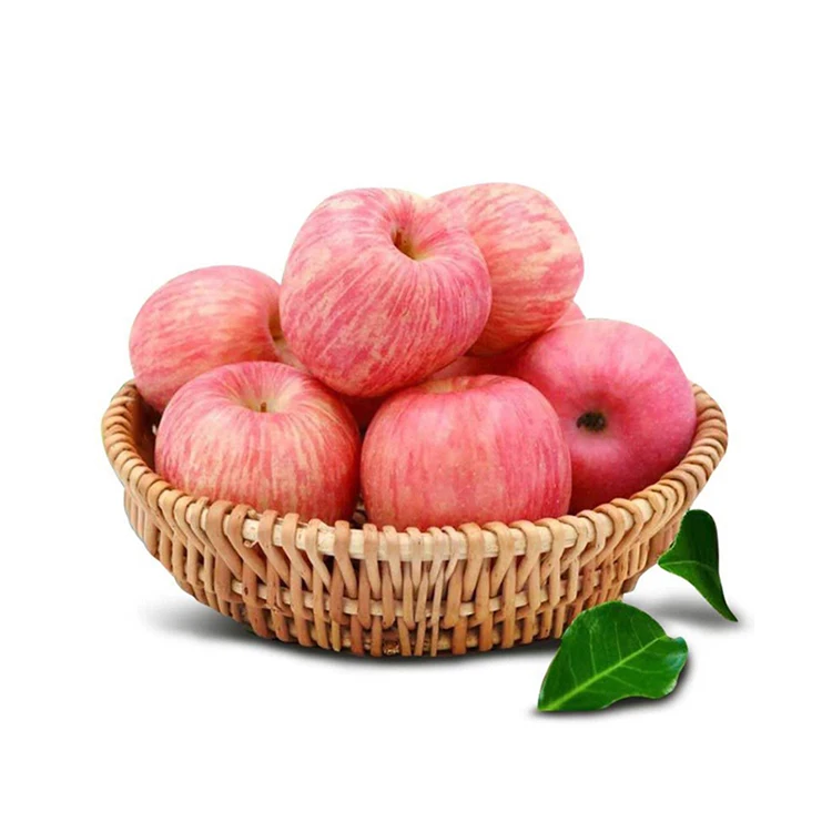 
china fuji apples all in one exporter in china 