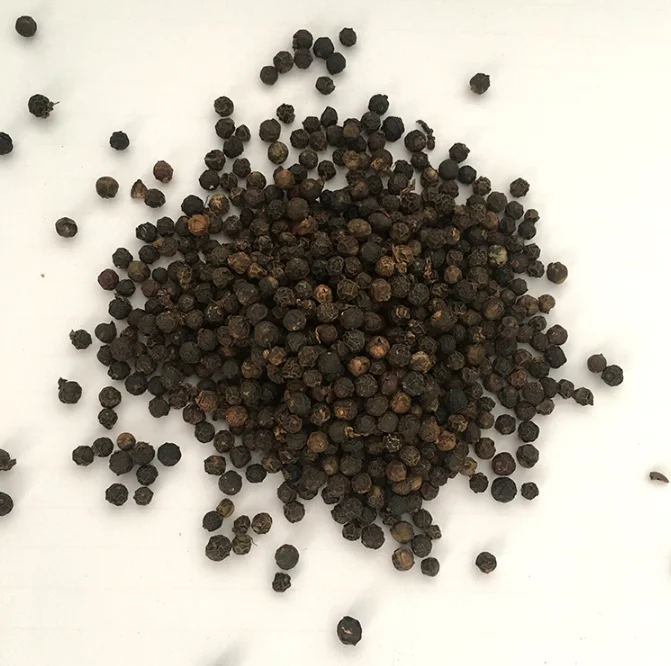 Wholesale Spice Dried Black Pepper Vietnam Wholesale price Black pepper dried whole black pepper