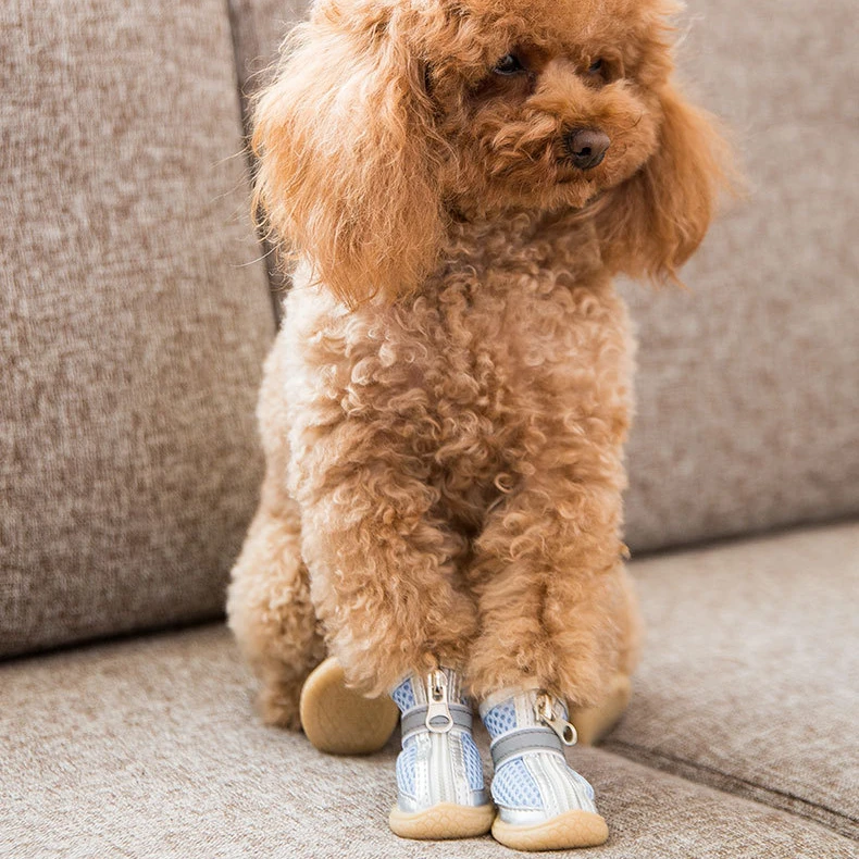 Wholesale waterproof non slip soft-soled pet dog shoes