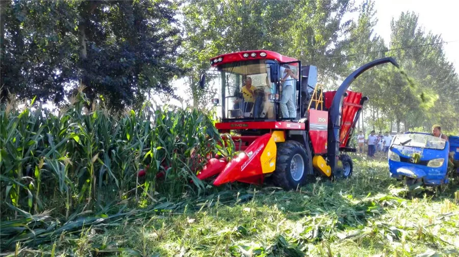 175 HP Multi-function Corn Picker with Husker and Silage System 4 Rows Harvester