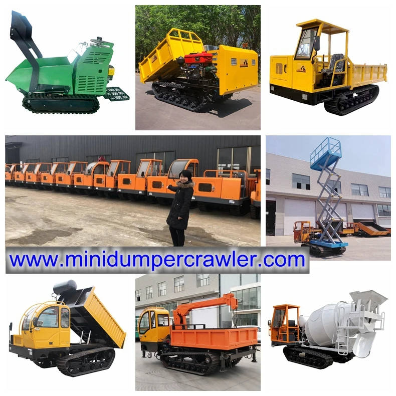 CE Certified Diesel Powered Mini Tracked Loader Transporter Hydraulic Platform Crawler Dumper Truck