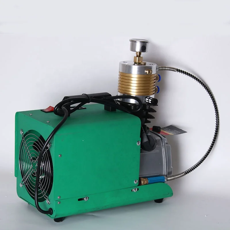 300Bar Portable 12V 220v Electric high pressure Mini Pcp Air Compressor 4500psi
