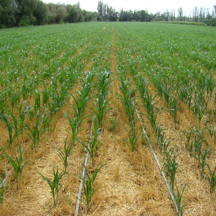 plastic flat dripper irrigation tape for farm