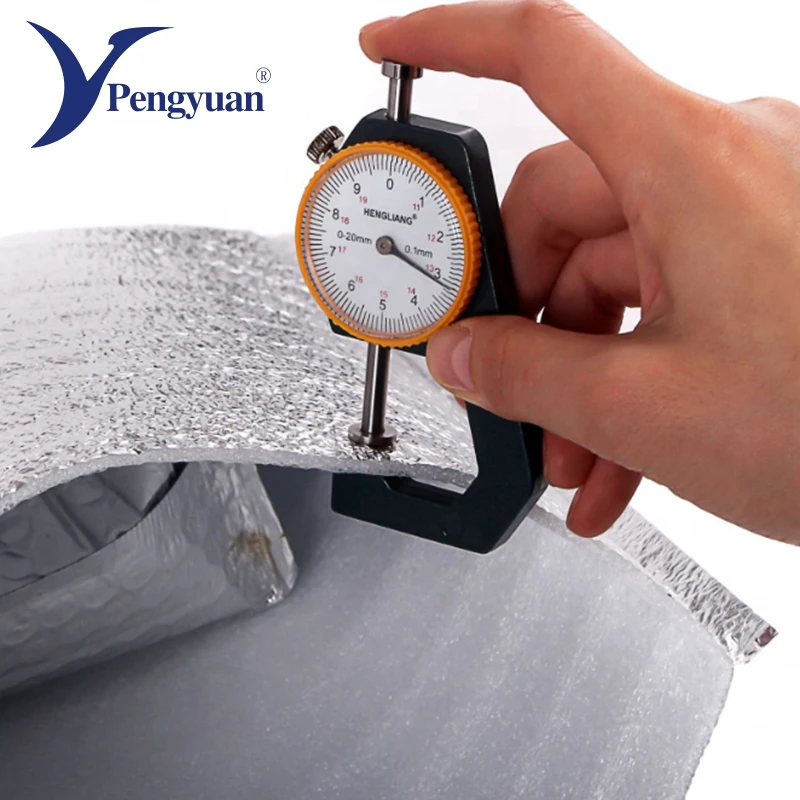 Disposable outdoor insulated cooler bags hot food transport