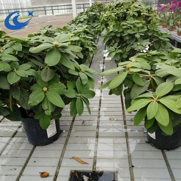 Easily Assembled Adjustable Abs Ebb And Flow Growing Table Hydroponic System Ebb Flood Seedbed Greenhouse Rolling Bench