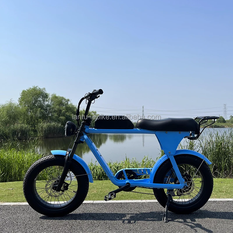 Lantu Ebike classic 48 volt 750w 1000w lithium battery moped style retro electric bikes for Men