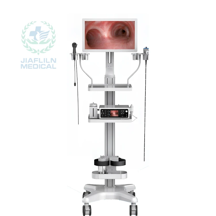 High-end Portable Veterinary Gastroscope System Multi-functional Endoscope For Large Animals & Pets