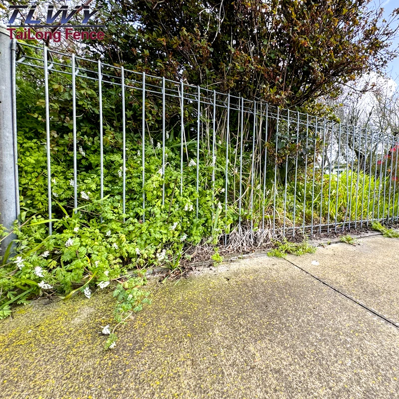 Wholesale European Popular Good Quality Brc Fencing Singapore Wire Farm Metal Garden Fence