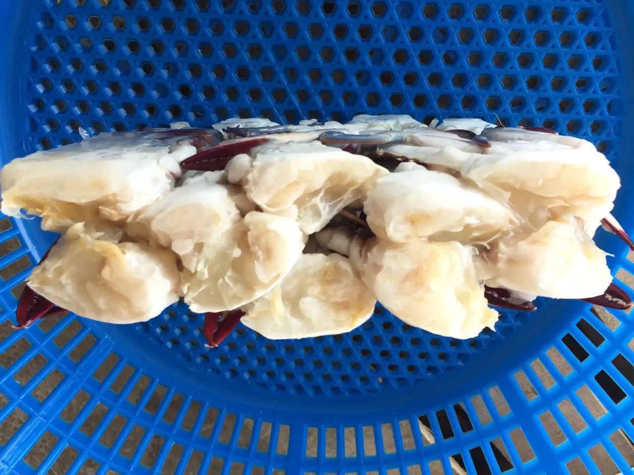 Good taste frozen blue swimming crab meat for EU market