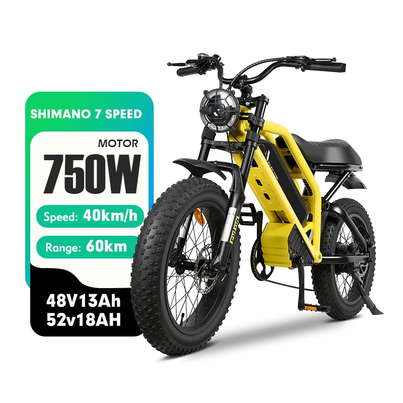 MZ-12 21 High Speed Mountain Sports Fatbike 20 Inch Adult Tires 13Ah 18Ah Lithium Battery Motor Electric Bicycle Old E Dirt Bike