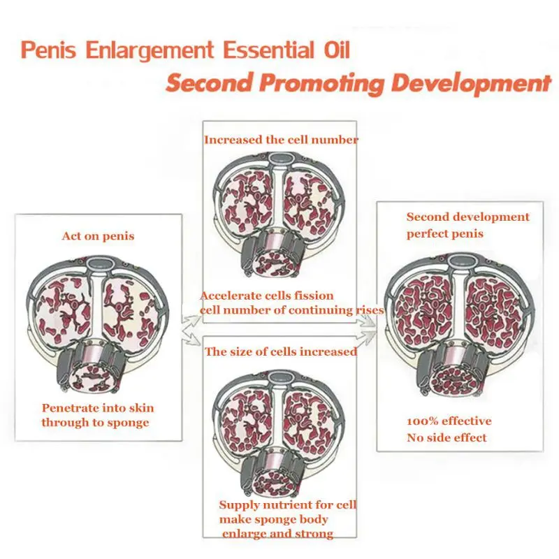 Custom 10ml Body Massage Oil Increase Men Thicken Lasting Xxxl Men Care Penis Enlargement Growth Massage xxl essential oil