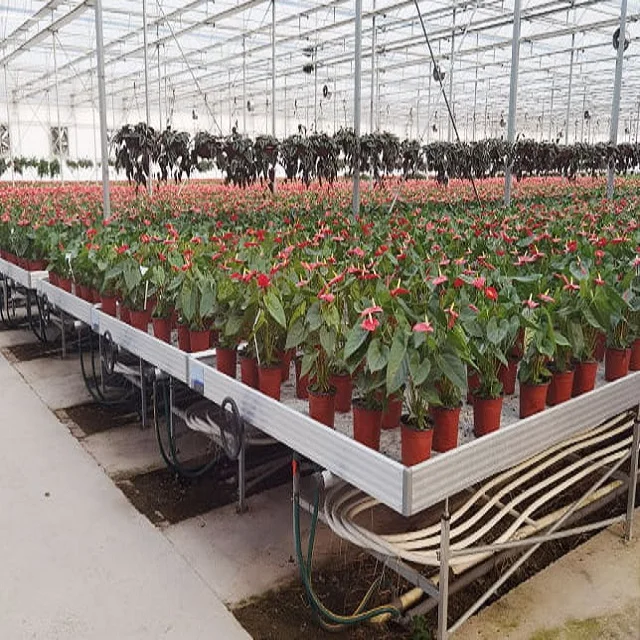 Vertical Hydroponic Ebb and Flood Tables Commercial Seedling Rolling Bench Used in Greenhouse