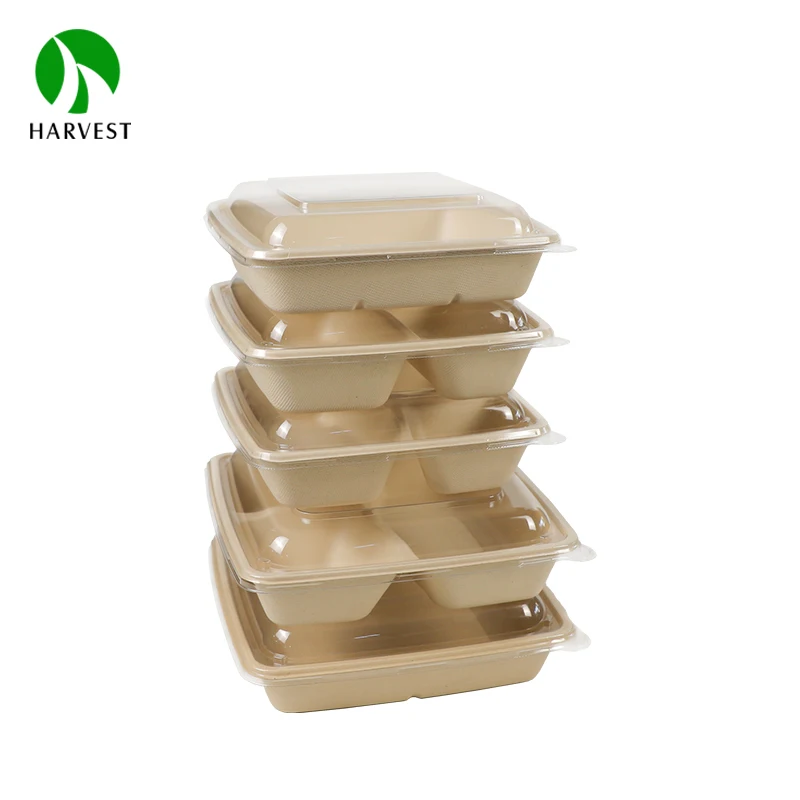 Square 8 Inch Eco friendly sustainable biodegradable food packaging