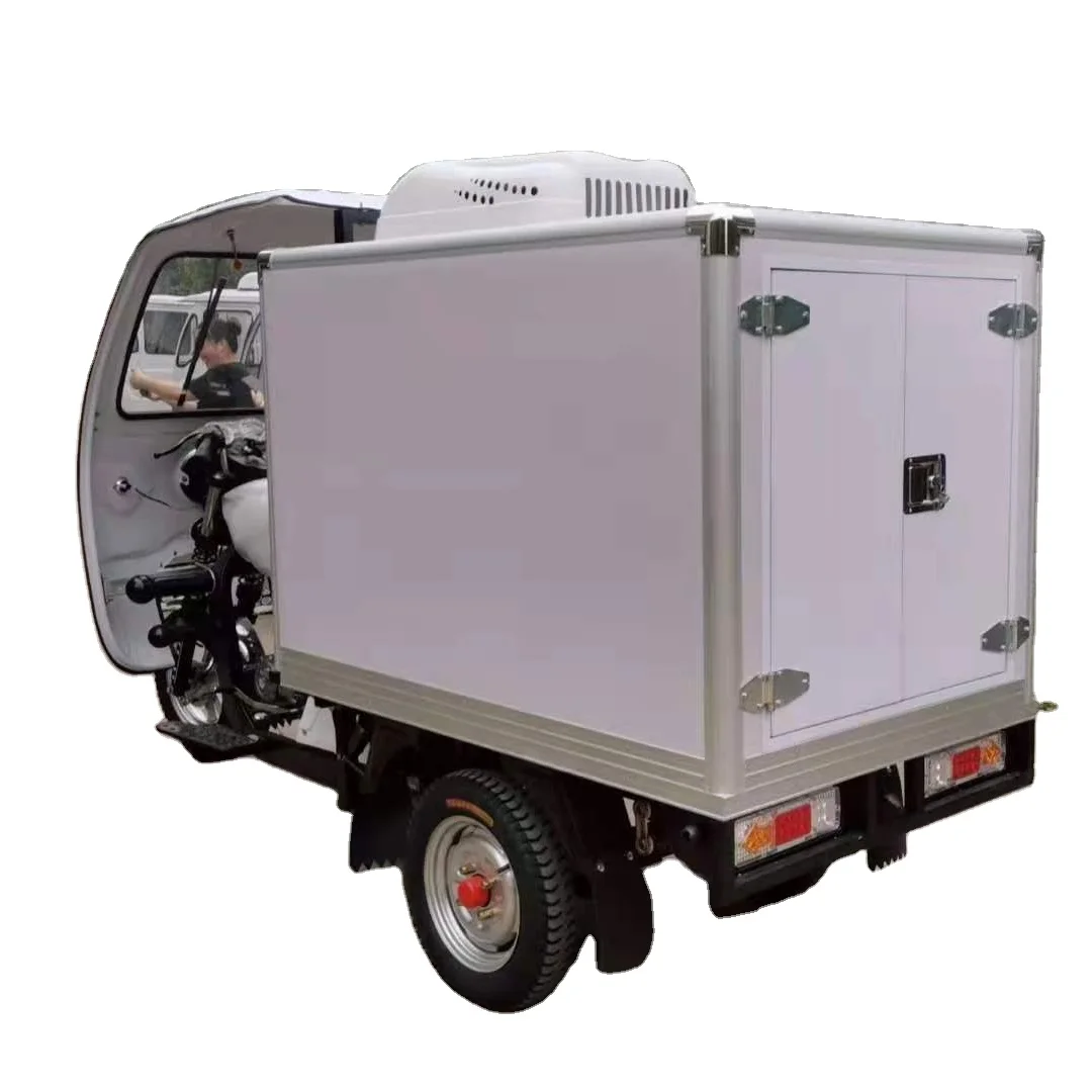 Refrigerated Gasoline/Petrol/Electric Tricycle with DC Cold Storage Delivery Box