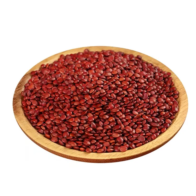 Li zao ren bulk herb spice dried wild jujube kernel Spina Date Seeds for sale