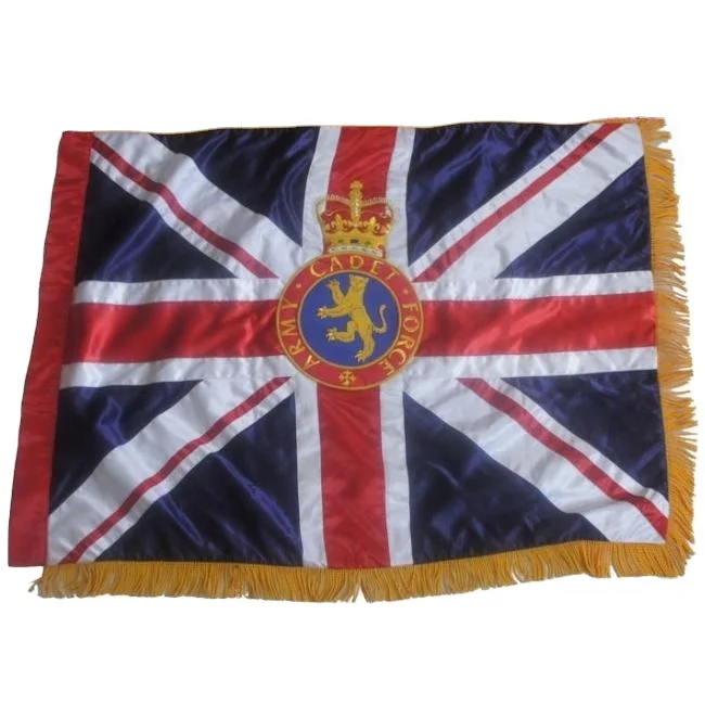 2022 hot sell heavy duty customized  logo printed pennant flag with gold fringe