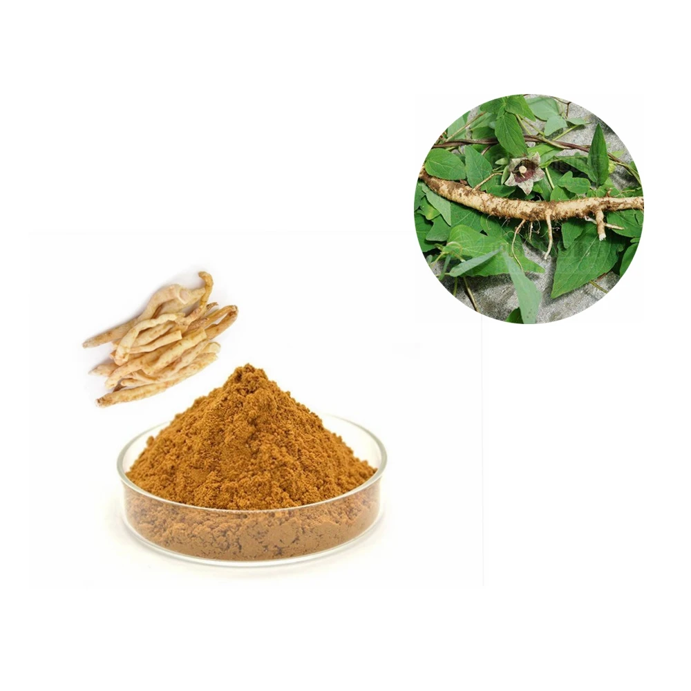 raw chinese herbs Radix codonopsis pilosula dang shen