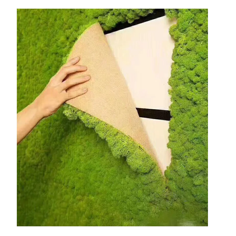 Christmas Wall Decor Preserved Stabilized Reindeer Moss Panel real natural moss wall panel