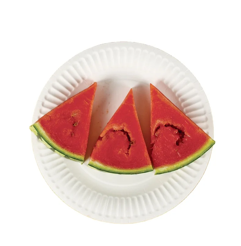 Wholesale Elegant Disposable Plates for Weddings Take Away Free Samples Designer Dinner Food