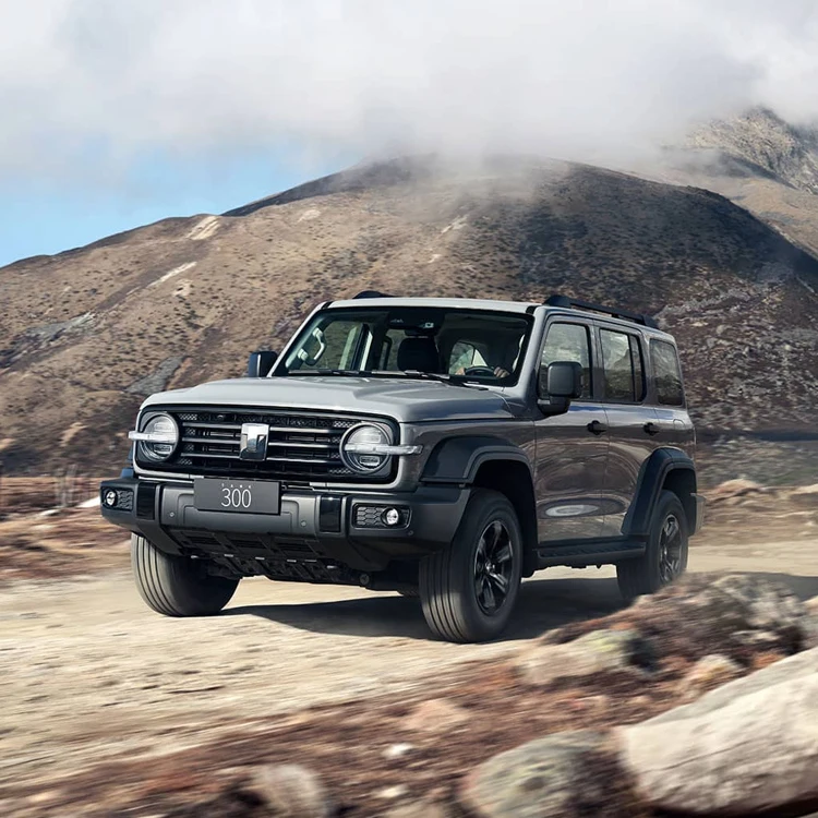 Оптовая продажа Большой Настенный Танк 300 2024 модель 2 0 T Challenger Conqueror Explorer внедорожный автомобиль путешественник транспортное средство киберпространство
