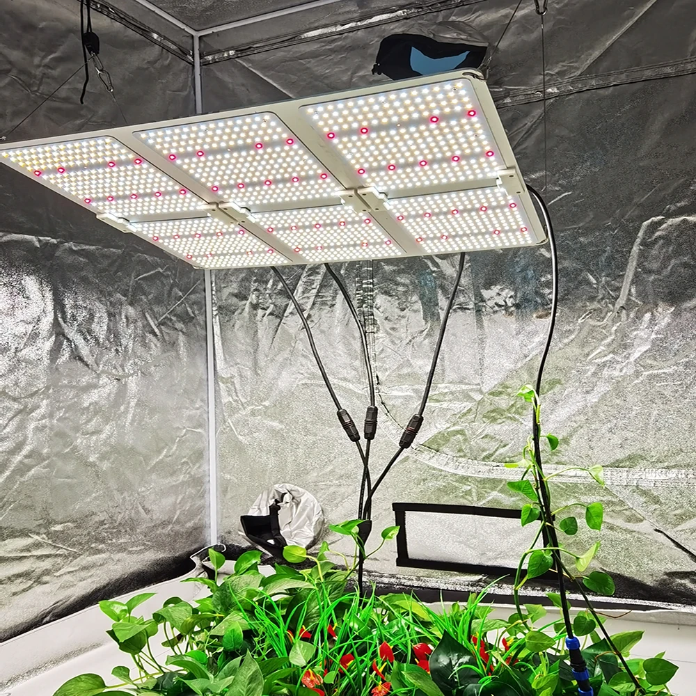 Full spectrum indoor plants best grow light horticulture vertical farming led grow lights