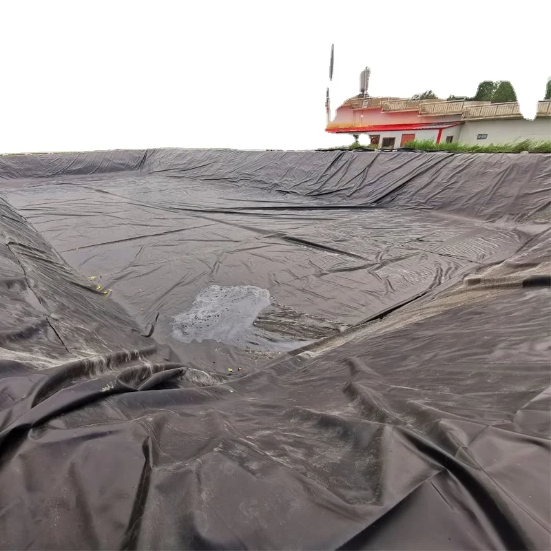 Waterproof High Density Polyethylene Liner Geomembranas Hdpe Pond Liner For Shrimp Farm Hdpe Geomembrane Sheet