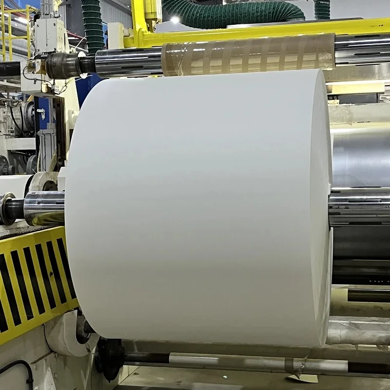 Factory DIrect Sell PLA/PE Coated Paper Rolls Raw Material for Paper Cups