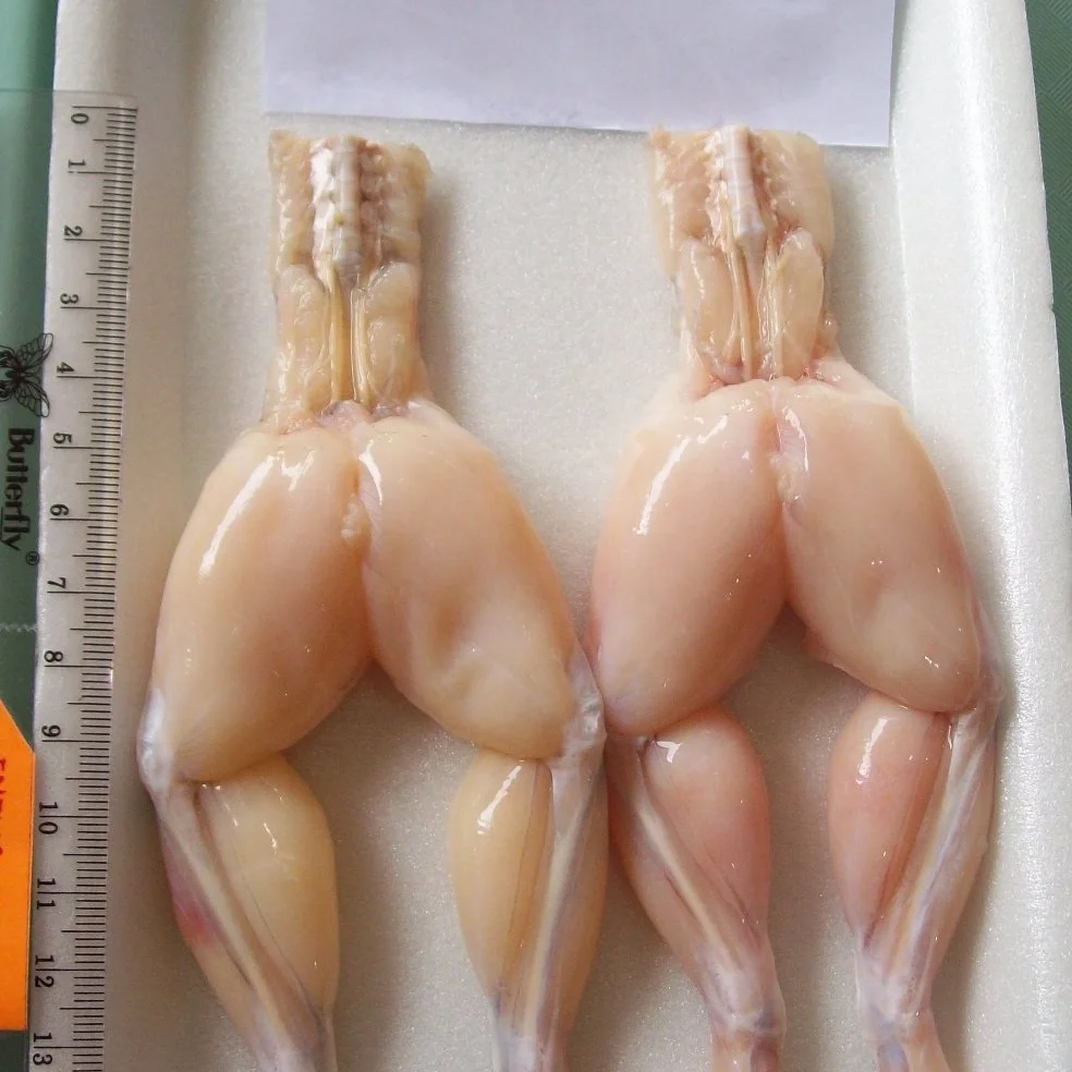 
wholesale frog legs frozen seafood 