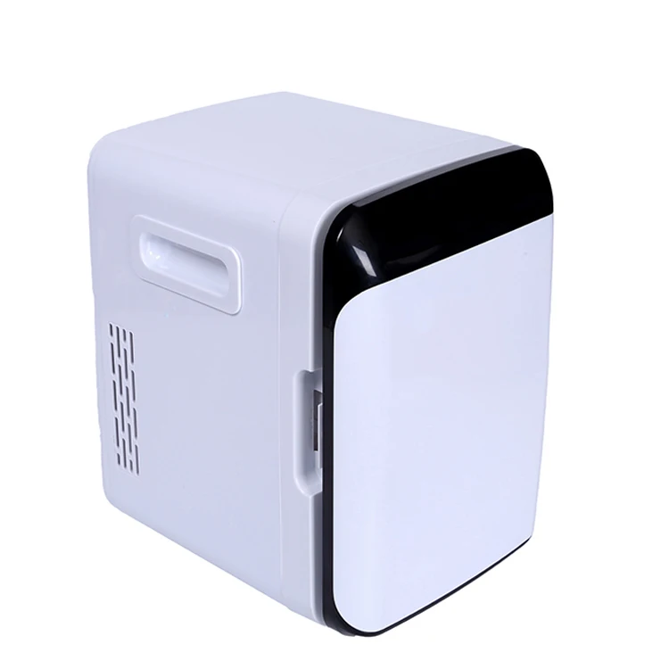  Amazon Hot 10L DC 12V AC 110V 230V мини холодильник на заказ мобильный домашний холодный