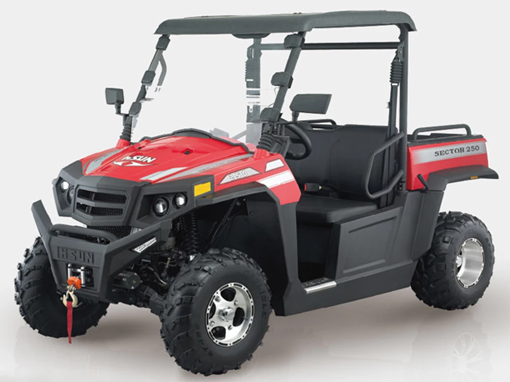 HISUN Quad 250cc/750cc Gasoline Engine Powered Automatic 4X4 UTV Buggy Off Road Arctic Wholesale Cat tracked vehicle snow plow