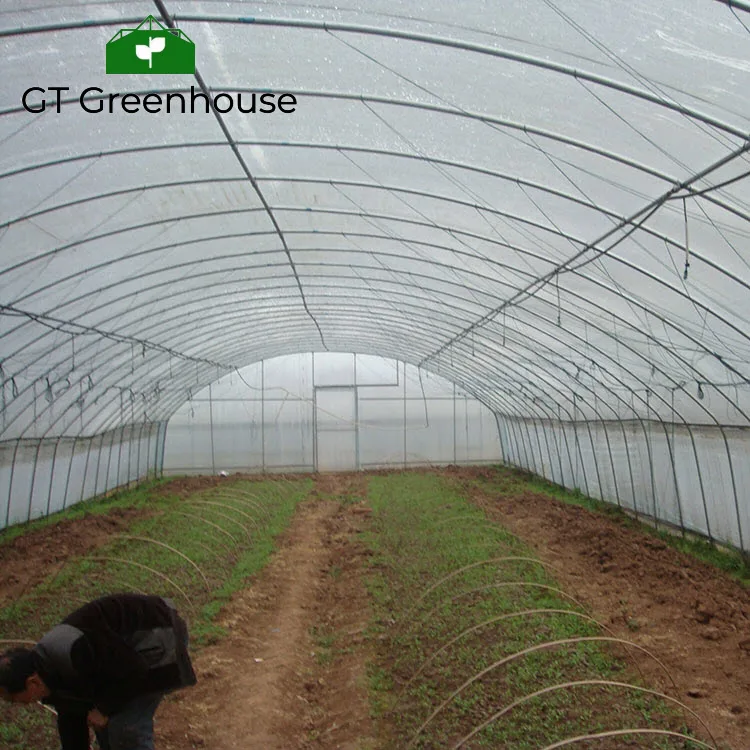GT Agricultural Single-sapn Greenhouse Hydroponics NFT Growing Soilless Culture System For Tomato Strawberry Cucumber