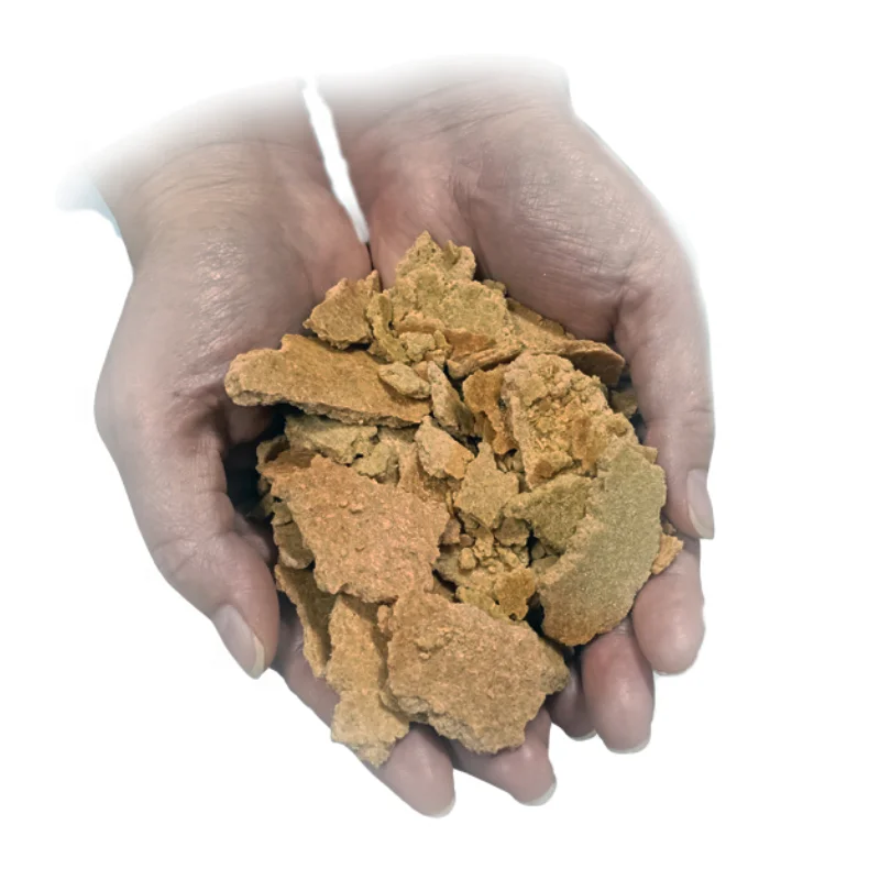 Soya Bean Meal Best Quality/Soybean Meal New Product Non-Gmo Soybean Soya Bean Cake for Animal Feed
