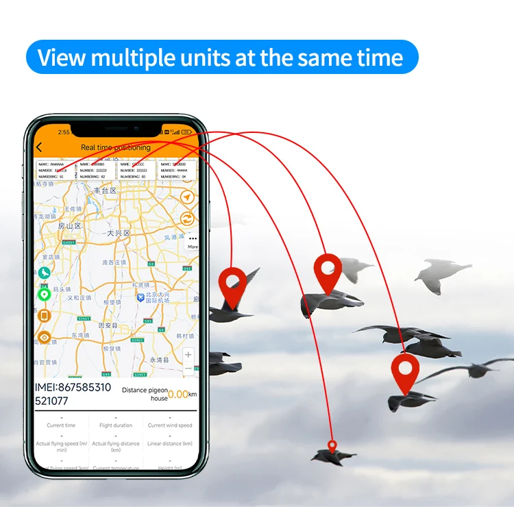 AHGUEP Brand Smart GPS 4G Network Animal Tracking Ring Tag LF HF RFID Efficient Chicken/Pigeon Management IP67 Factory Price