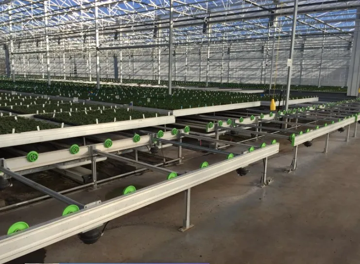 High-quality Full-automatic tidal seedbed with movable system rolling table for greenhouse