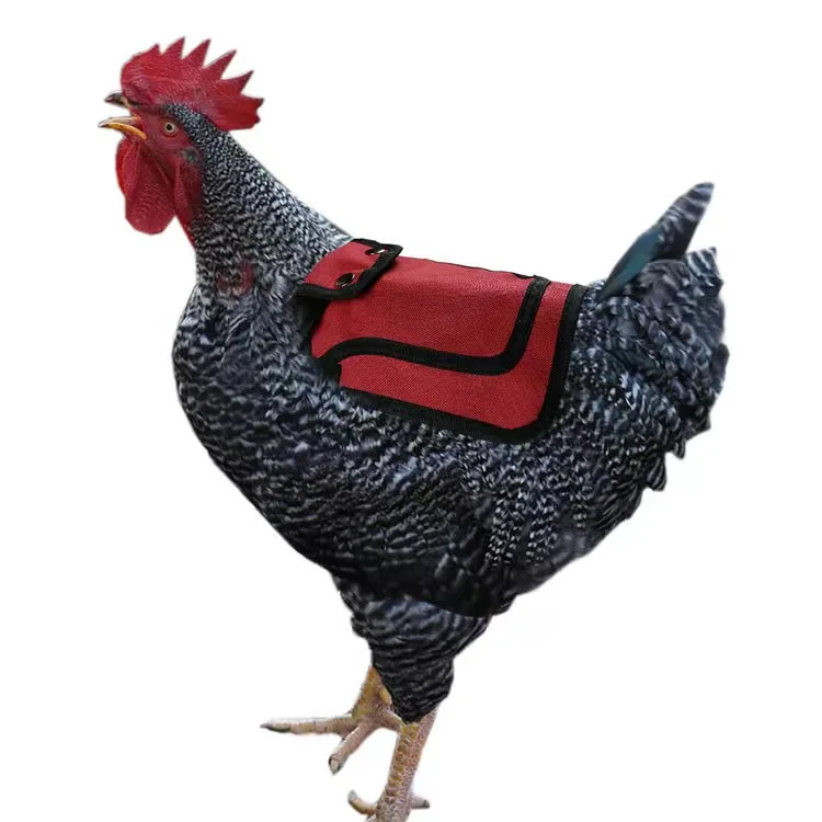 Chicken Saddles with Adjustable Strap Birds Back and Sides Protector Hen Saddle