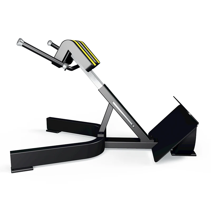 Manufacturers Provide Gym Sports Equipment 45 Degree Lower Back Extension Bench/Roman Chair