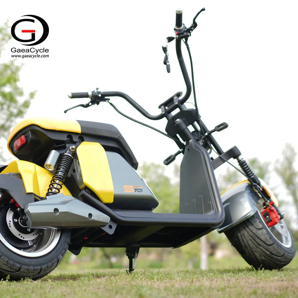 Europa Warehouse Gaea Citycoco Sport 701 EEC Electric Scooter 3000w 60v 30ah with High Speed 70km/h
