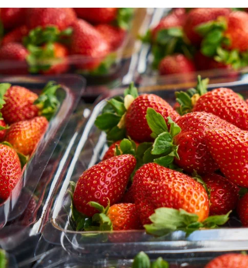 Custom Made Small Plastic Disposable Cup Making Machine China