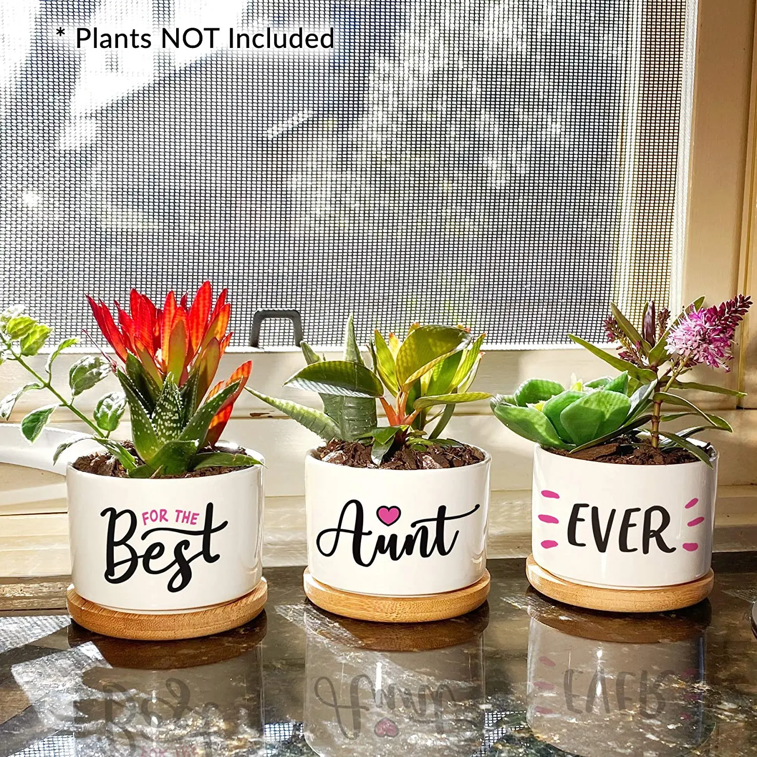 Custom Super Sweet Aunt Gift Our Pretty Best Aunt Ever Succulent Pots For Birthday or Christmas