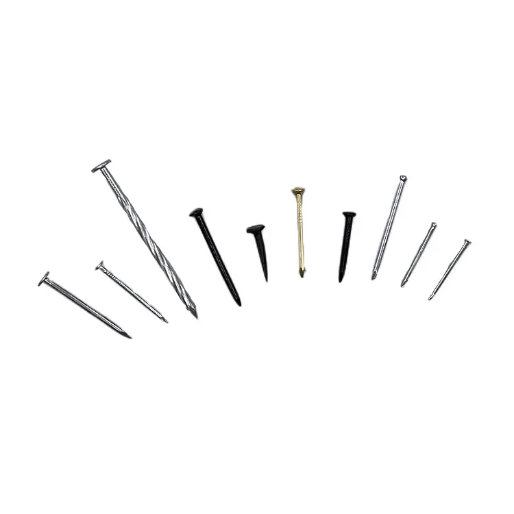 556 Pieces Hardware Nails Galvanized Metal Spikes, Black finishing and Brass plated Nails assortment kit set