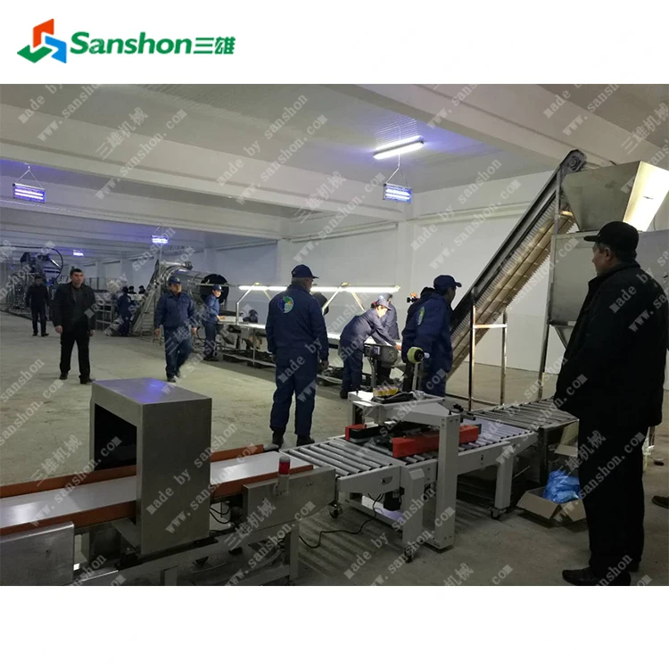 Hotsell Stainless Steel Raisin Processing Line