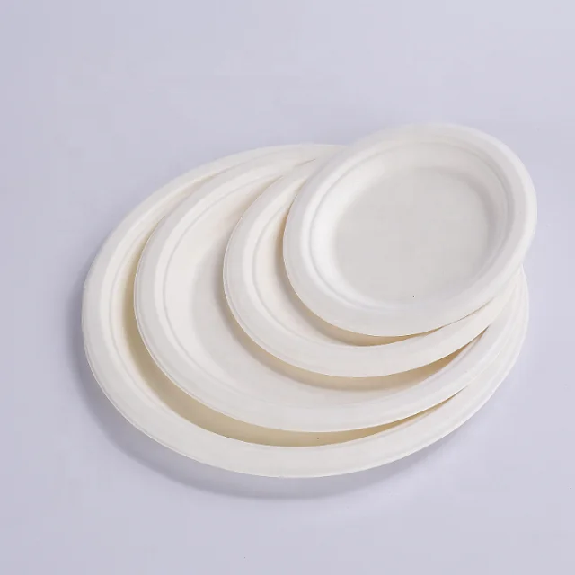 disposable sugarcane pulp plate 5 section plate