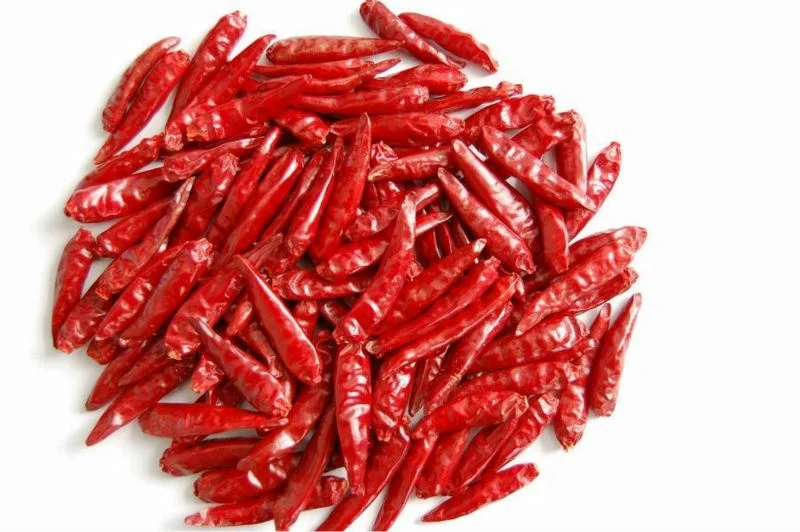 
Indian Dry Red Chili Sannam-S-4/334 