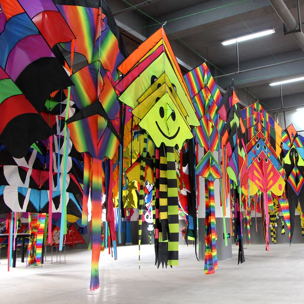 
Yongjian 2020 Dual Line Easy flying Custom Printed outdoor playing training leaf kite albatross stunt kite From Weifang 