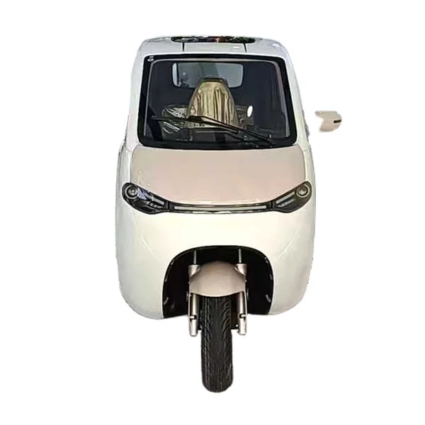 China manufacture EEC 3 wheel  electric passenger tricycle covered for adults China