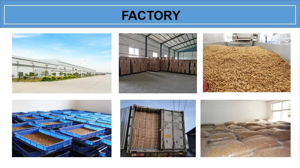 36020210405165351781