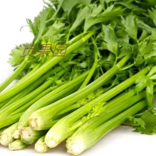 Китайский свежий сельдерей