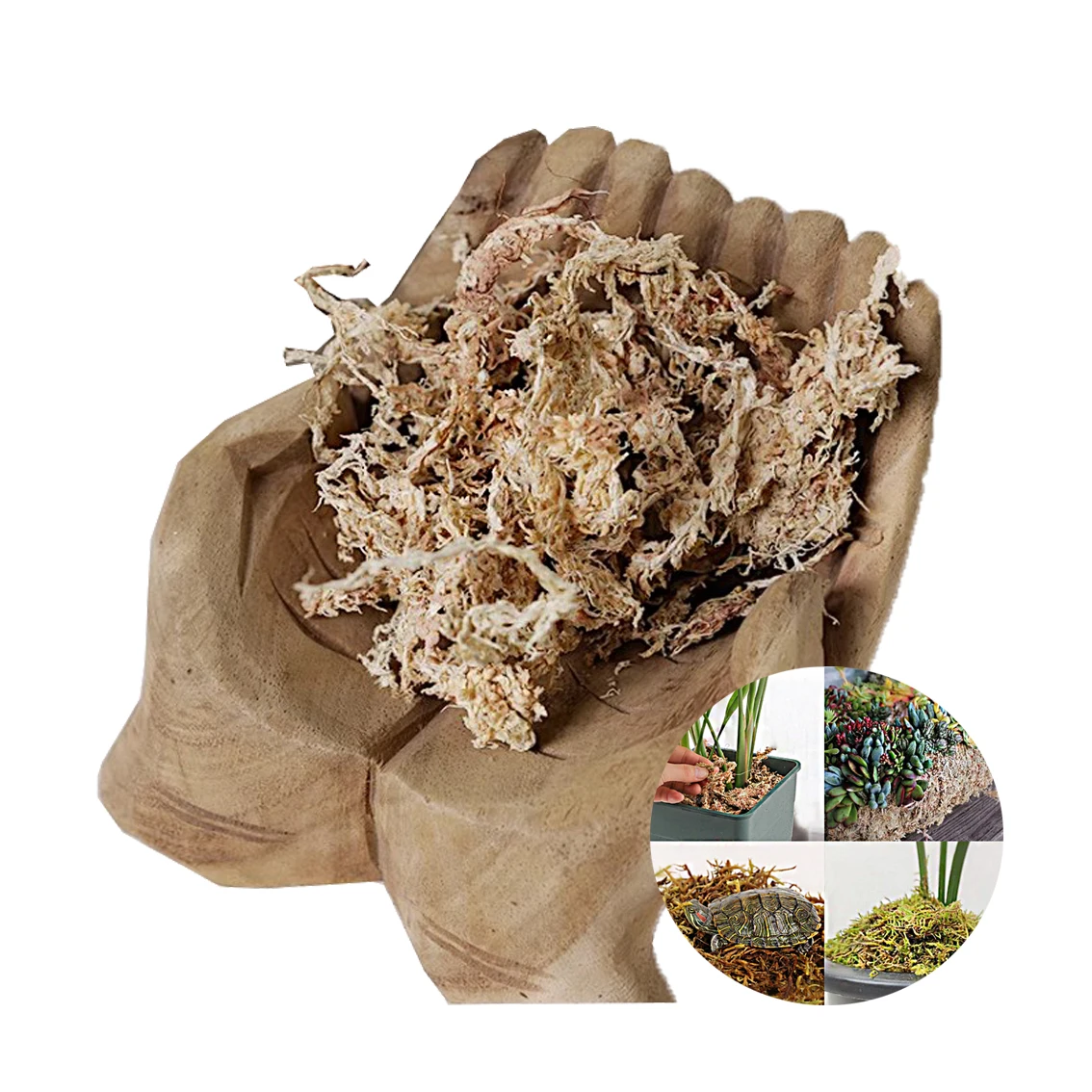 Chilean sphagnum moss long fiber sphagnum peat moss buy moss sphagnum