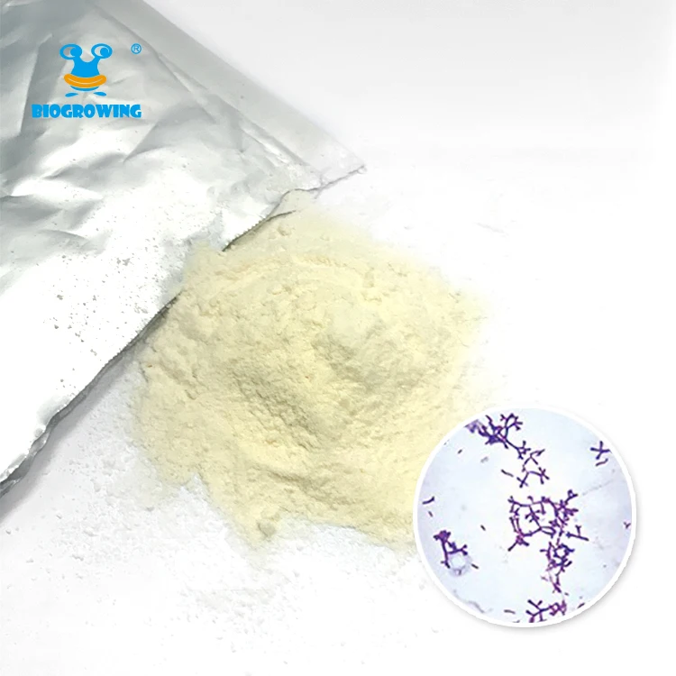 Замороженные пробиотики 100 млрд КОЕ/г косметические добавки в порошке оптом биобактерия