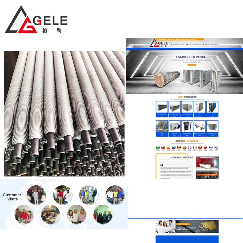 Drys paper pulp egg tray lines